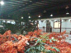 -老山东·山东菜(鲁菜名店)