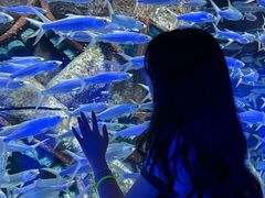 -波塞冬旅游度假区