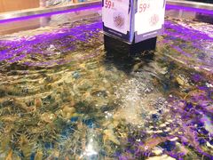 -盒马X会员店(王府井奥莱UP TOWN店)