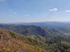 -天女山森林公园