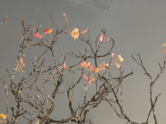 -绿茶餐厅(成都太古里店)