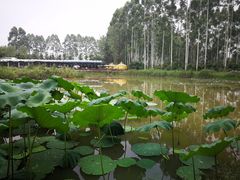 -三圣花乡旅游区