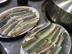 -金龙·打边炉(武进路店)