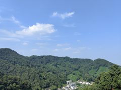 -龙井村
