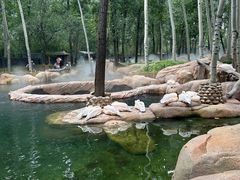 -北京野生动物园