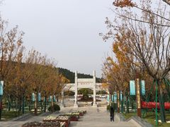 -佛慧山