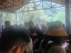 -少华山国家森林公园