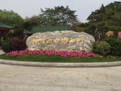 -顺峰山公园