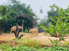 -广州长隆欢乐世界