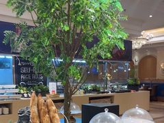 -锦粤宫·精致粤菜(深圳北站店)