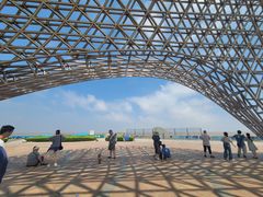 -南汇嘴观海公园