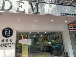 -DEM缔怡美科技美容
