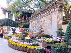 -上海醉白池公园