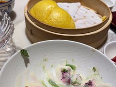 -唐猫庭院·千年陕菜(大唐不夜城店)