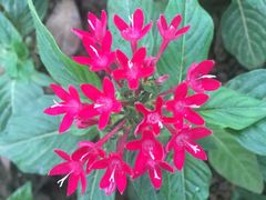 -艾溪湖湿地公园