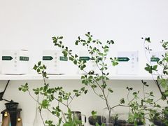 -边渡咖啡烘焙店(昙华林店)