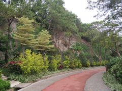 -狐尾山公园
