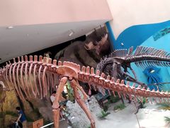 -陕西自然博物馆