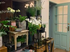 -蝶舍·MAISON PAPILLON