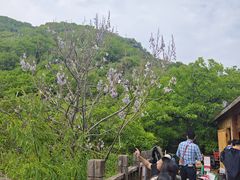 -狼牙山风景区