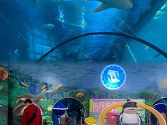 -乐从天佑城海洋馆