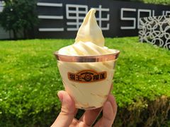 招牌猫王榴莲冰淇淋-猫王榴莲世家(三里屯SOHO商场店)