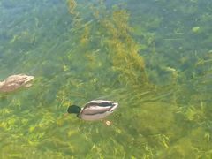 -仿膳饭庄·宫廷风味(百年传承店)