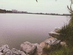 -九里湖国家湿地公园