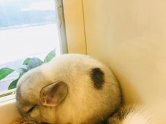 -龙猫仔乐园(惠福东路店)