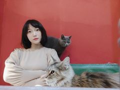 -猫色咖啡·猫咖