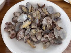 -小叶大馅饺子城