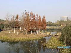 -大蜀山国家森林公园