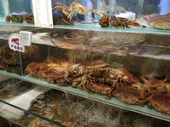 -超级物种·波龙工坊(国贸店)