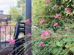 -火火咖啡&茶空间