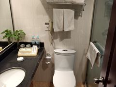 -良友富临大酒店(泉城广场大明湖店)