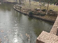 -采石矶景区
