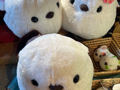 -小樽八音盒堂