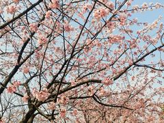 -共青国家森林公园-售票处