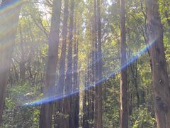 -同里国家湿地公园