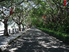 -大湾区中央湿地公园