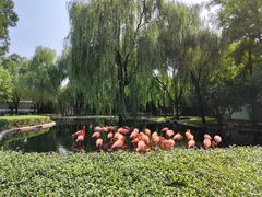 -石家庄市动物园