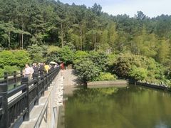 -九龙潭景区