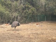 -杭州野生动物世界