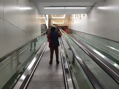 -科巷菜场
