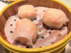 -香港龙凤楼(巨鹿路洋房店)