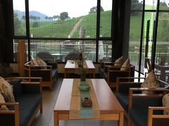 -帐篷客·溪龙茶谷度假酒店