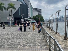 -星光大道