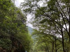 -雅鲁激流探险漂流