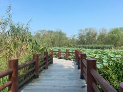 -长兴太湖图影湿地文化园