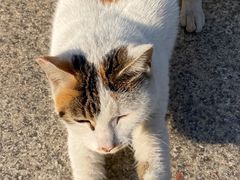 -苏州河梦清园环保主题公园